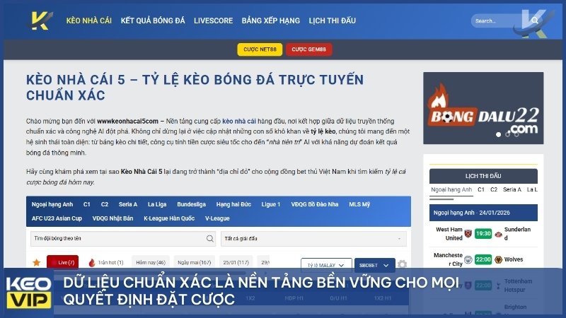 Dữ liệu chuẩn xác là nền tảng bền vững cho mọi quyết định đặt cược.