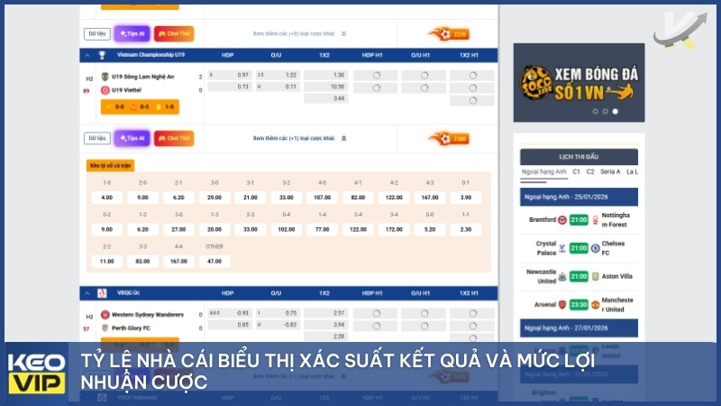 Tỷ lệ nhà cái biểu thị xác suất kết quả và mức lợi nhuận cược.